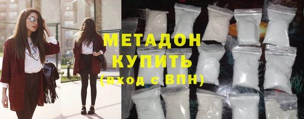 прущие грибы Дмитровск