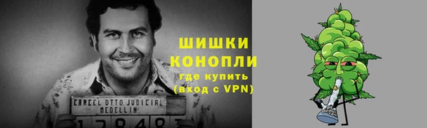 бутират Гусев
