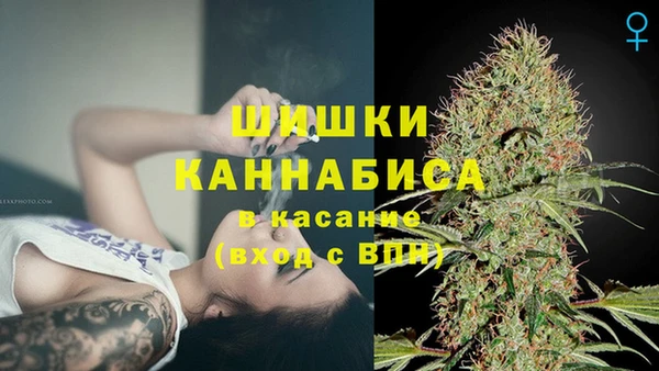 не бодяженный Гусь-Хрустальный