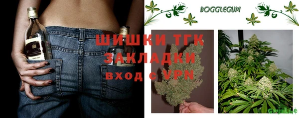 МДПВ Гусиноозёрск